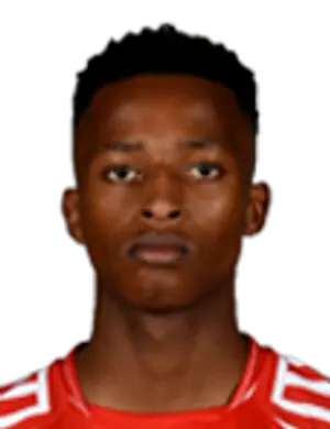 Khaya mfecane