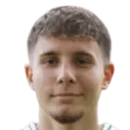 Altin Ibisi