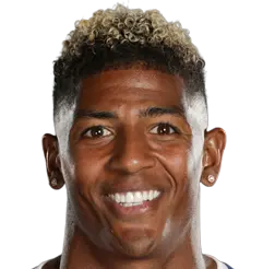 Patrick van Aanholt