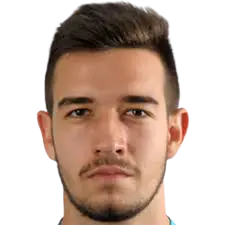 stefan radojicic