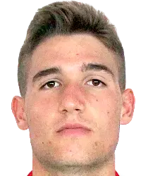 Michele voltan