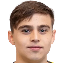 Emir Derviskadic