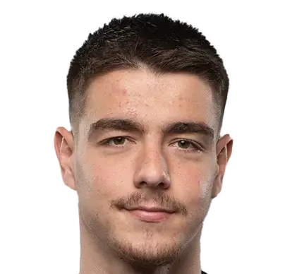 muhamed sahinovic