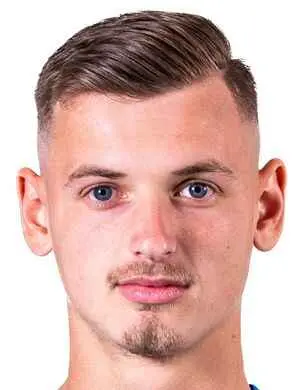 anil julevic