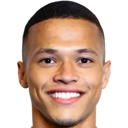 Darlan Pereira Mendes