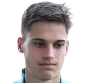 Niko Šepić