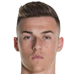 Ajdin Hrustic