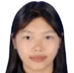 He Feifei