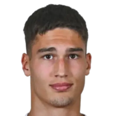 nikola simic