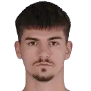 Dominik Dogan