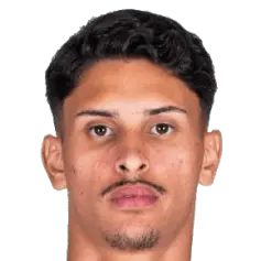 Pedro Henrique Leão Alves Lopes