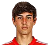 Nuno Miguel Madeira Fernandes Felix