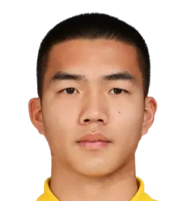 Wang Hanyi