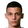 D. Dakić