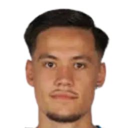 Armin domuzeti