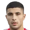 Ahmed Khaled Hamed El Sayed