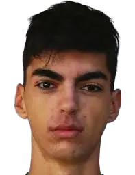 aleks stojakovic