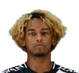 Matheus Nunes Fagundes De Araujo