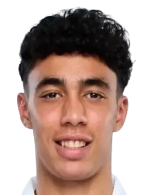 Suleiman El Haddadi Mohamed