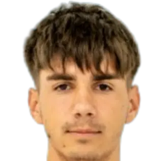 Razvan tache