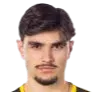 Nikola Mitrovic