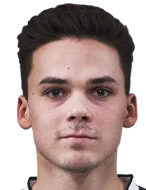 Joona Tapani