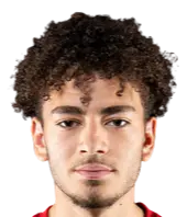 Ziad Ghanoum