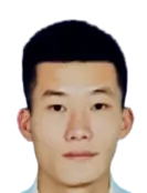 Tran Ngoc Son