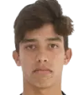 Monteiro diego