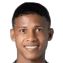 Johan Parra