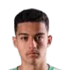 Davi Goes Silva Ferreira Carvalho