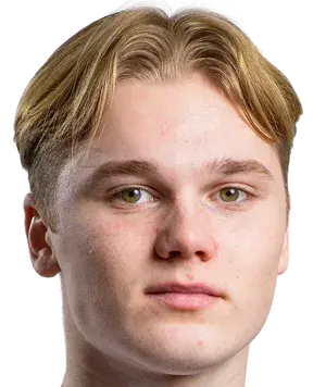 viggo blumme