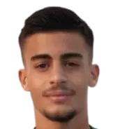 roey elimelech