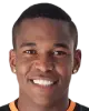 Mineiro alan