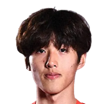Wang Dongcheng