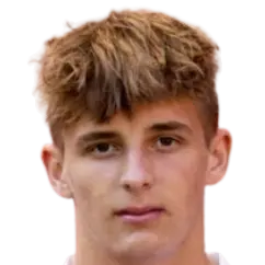 Denis Hanzelka
