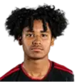 Jonatan Villal