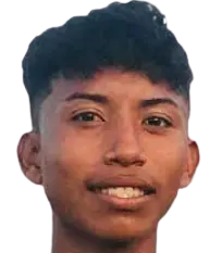 Andir chi