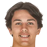 nikola jovicevic