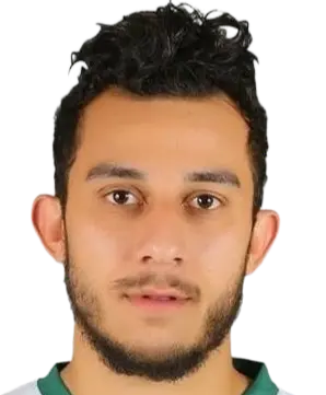 Ahmed Ayman Mansour
