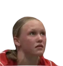 fiene bussman