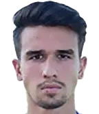 hamza redzic