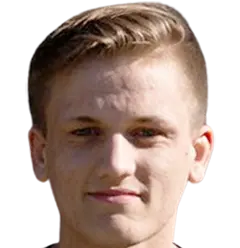 Bram van Driel