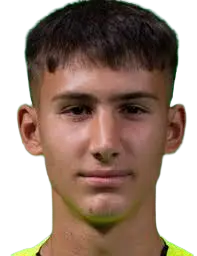 Vuk Draškić