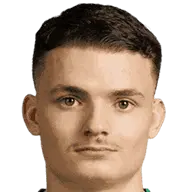 dino salcinovic