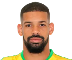 Pedro Henrique Barcelos Silva