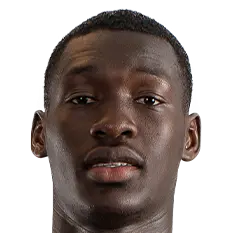 Pape Moussa Fall