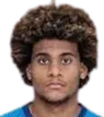 Lamine Diaby Fadiga