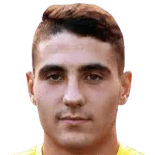 Denis Furtuna
