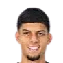 Pedro Henrique Santos Gomes